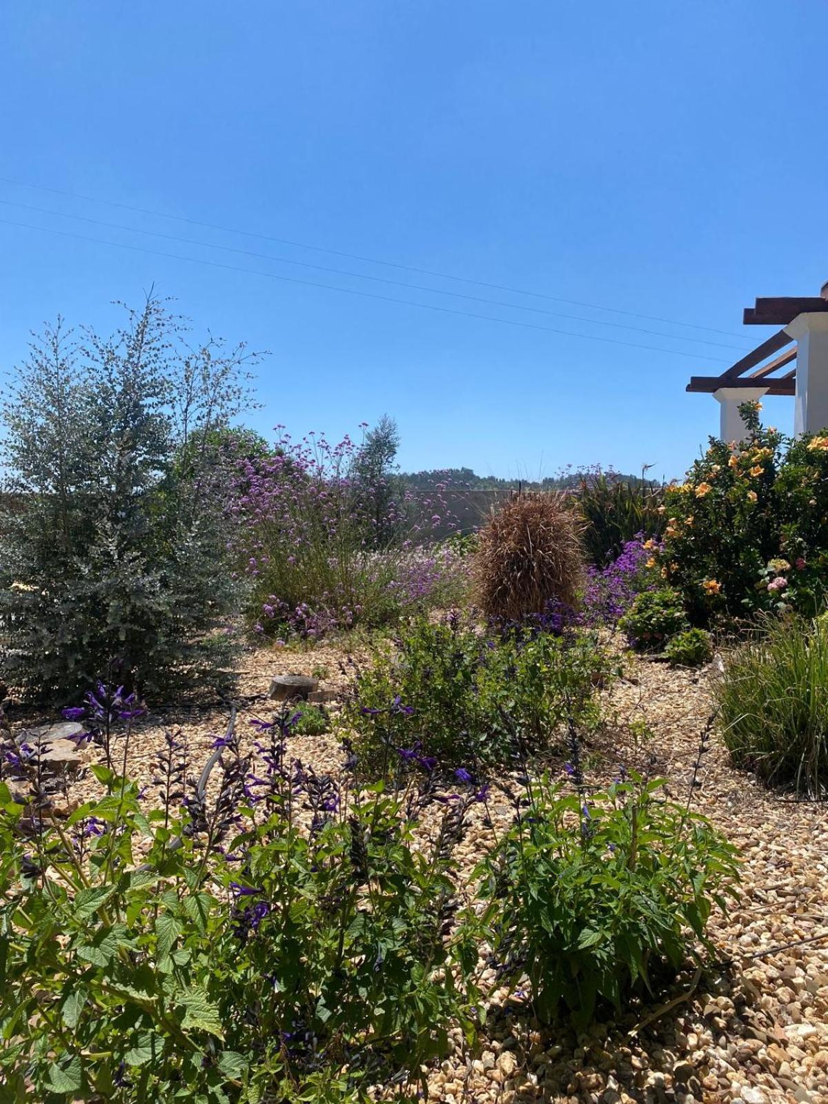 Quinta Cunte - Casa Sobreiro Villa Sao Luis Bagian luar foto