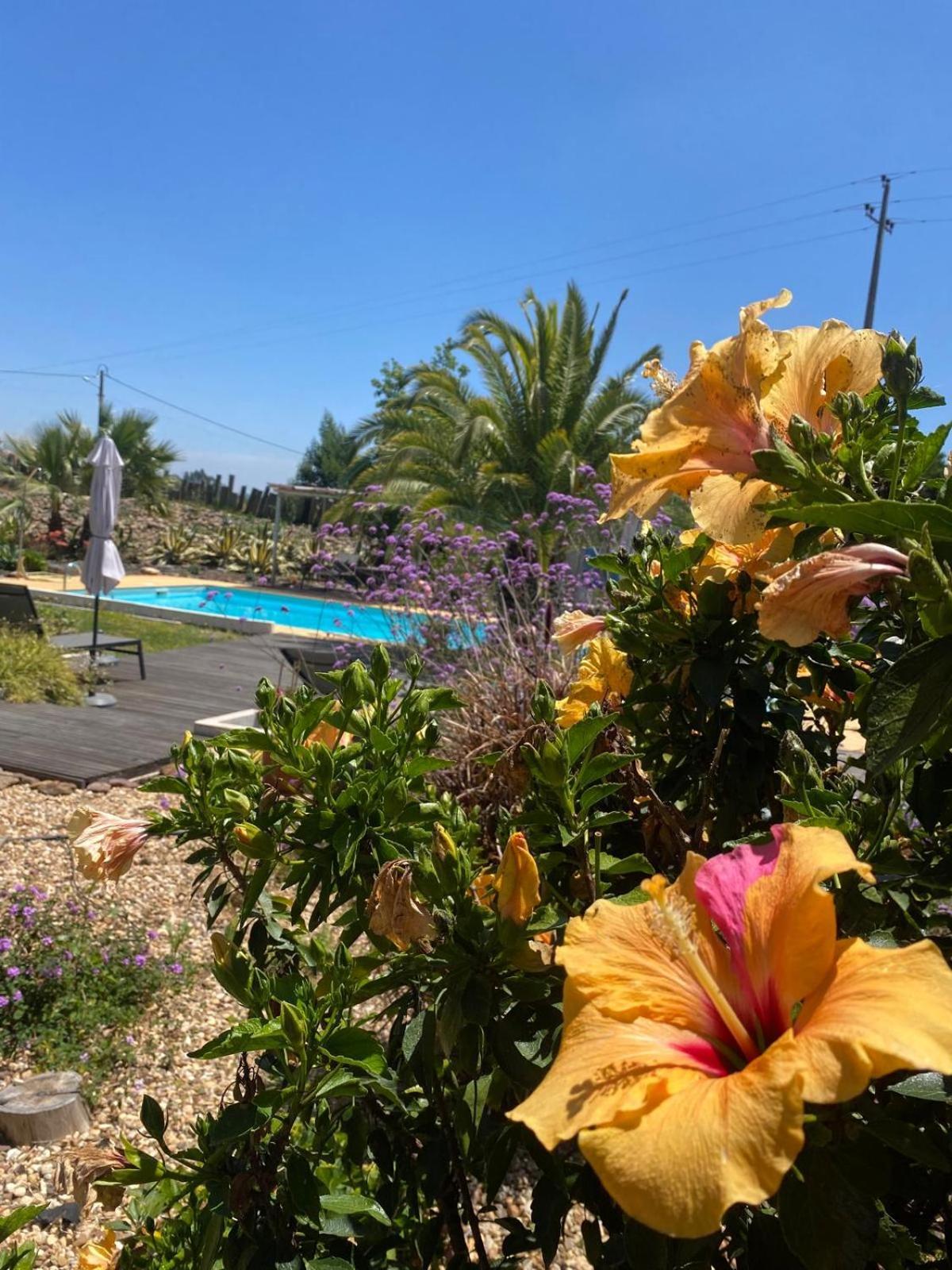 Quinta Cunte - Casa Sobreiro Villa Sao Luis Bagian luar foto