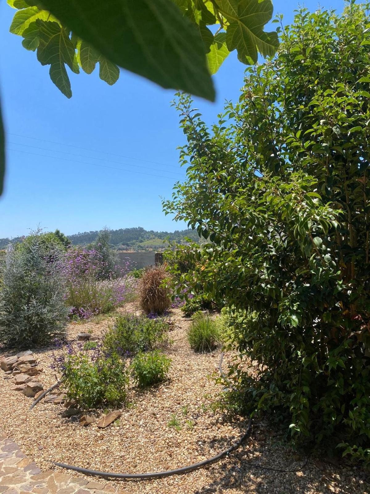 Quinta Cunte - Casa Sobreiro Villa Sao Luis Bagian luar foto